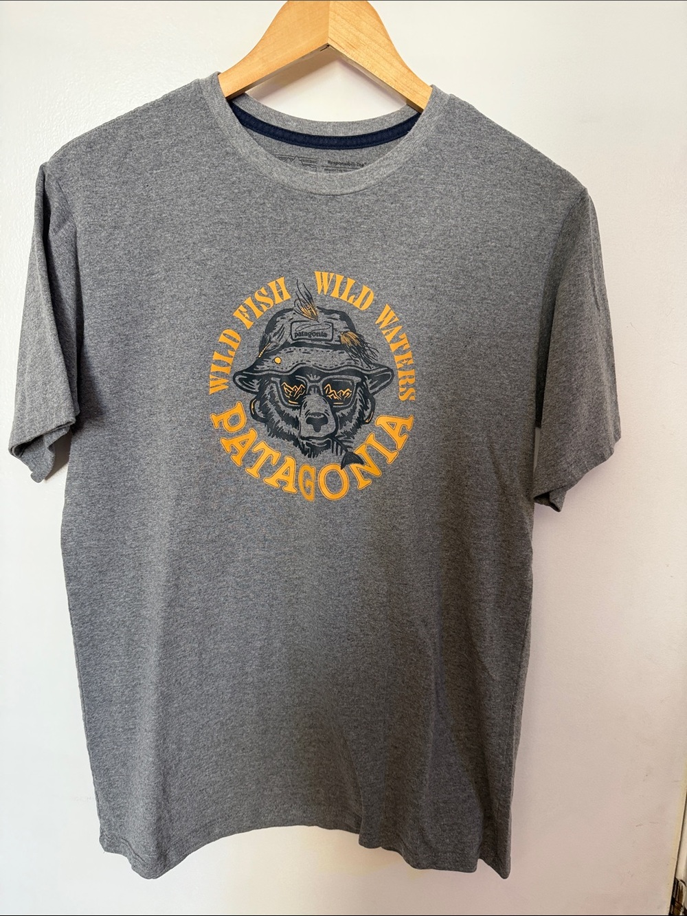 Patagonia Men’s Heather Gray Short-Sleeve Tee with Yellow Graphic